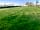 Hobson Farm: Grassy pitches