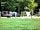 Alpine Grove Touring Park: Spend your next summer holiday camping with us