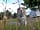 Masterland Farm Caravan Park