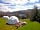 Loch Tay Highland Lodges: Gorgeous domes all with loch views
