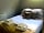 Foxholes Farm: Master bedroom. Supper comfy bed and linens