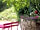 Moulin de Chaules: A terrace in the sun (photo added by manager on 05/01/2015)