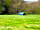 Etherley Farm: Lonely tent under the sun