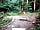 Wrekin Forest Events Camping