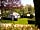 Camping de Keranterec: Shaded pitches