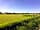 The Old Stables Campsite