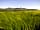 Pencelli Castle Caravan & Camping Park: Brecon Beacons
