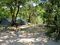 Parcela sobre suelo de bosque con electricidad opcional para tienda