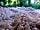 Loscombe Farm: A sheep's-eye view of the site