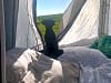 Porthcothan Clifftop Camping (foto adicionada por janine_b171082 em 28/07/2024)