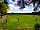Pine Cones Caravan and Camping: Sandy Acres is a grass field with electric and non electric pitches that are spacious.