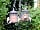 Somers Wood Caravan Park: One of the many bird feeding stations located around the park