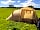 South Devon Wild Camping: Great field to pitch on (photo added by  on 31/08/2021)