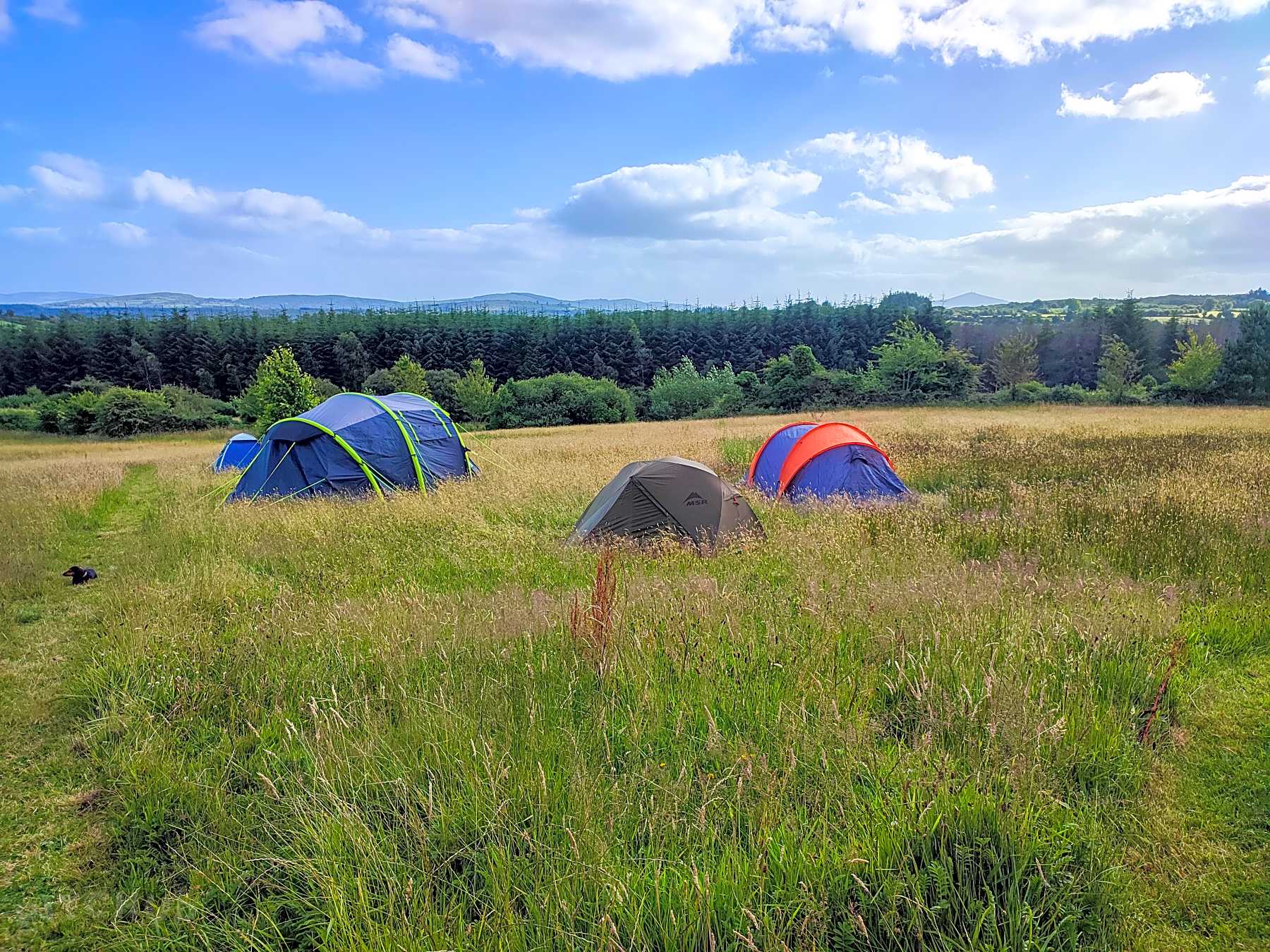 Leap, County Cork, Irland Die besten Campingplätze 2024! Jetzt auf 1 Campingplätze