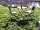 Kingfisher Meadow Camping and Caravanning Park