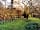 Hunts Court Huts: The gardens