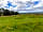 Aylesmore Farm Campsite: pitches mown into long grass (not very hay fever friendly!) (photo added by manager on 01/07/2023)