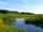 Weston House Caravan Site: The wildlife pond