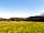 Runnis Meadow Camping: View across the site (photo added by manager on 29/07/2022)