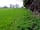 Manor Farm Caravan Park