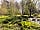 Yonder Meadow Holidays: Picnic by the pond (photo added by manager on 19/04/2023)