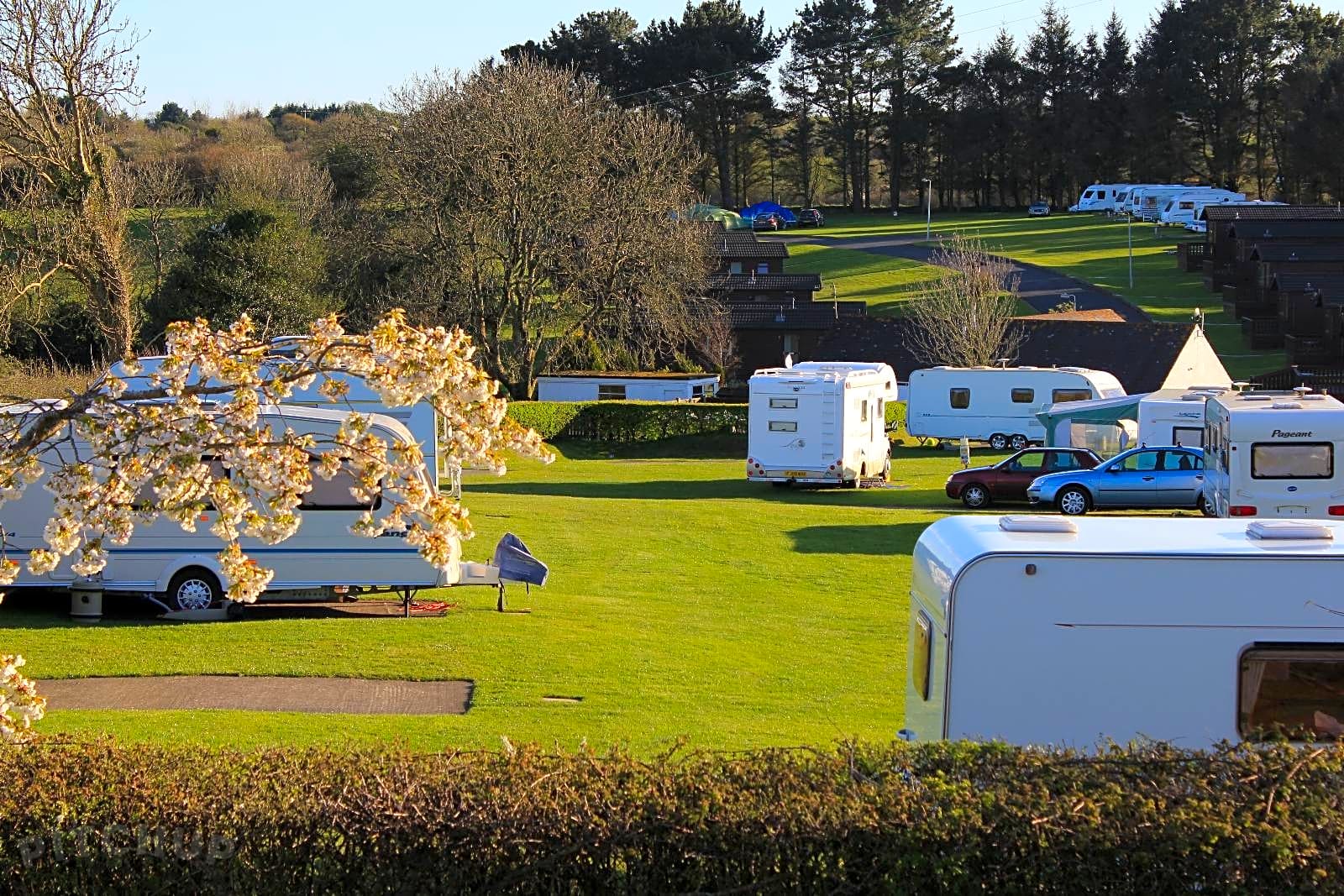 Moreton Farm Leisure Park, Saundersfoot Pitchup®