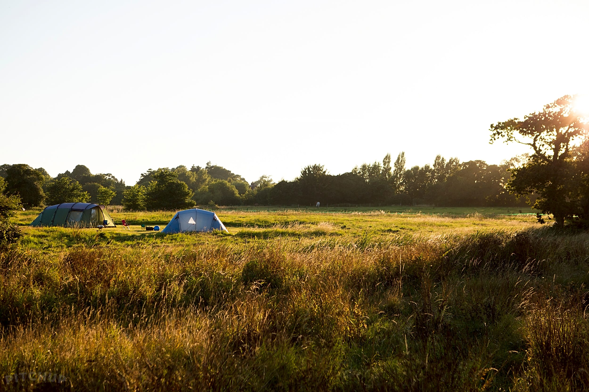 Donnington Wild Camping, Chichester Updated 2020 prices Pitchup®