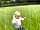 Llys-Y-Frân Meadow Campsite: Walking in the meadow