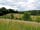 Butcombe New Woods: In the Mendip Hills Area of Outstanding Natural Beauty