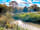 Morleys Farm: One of two fishing ponds on the farm