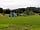 Irongorge Camping: View of the pitch