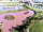New Farm Cheshire Holidays: Three lakes on site