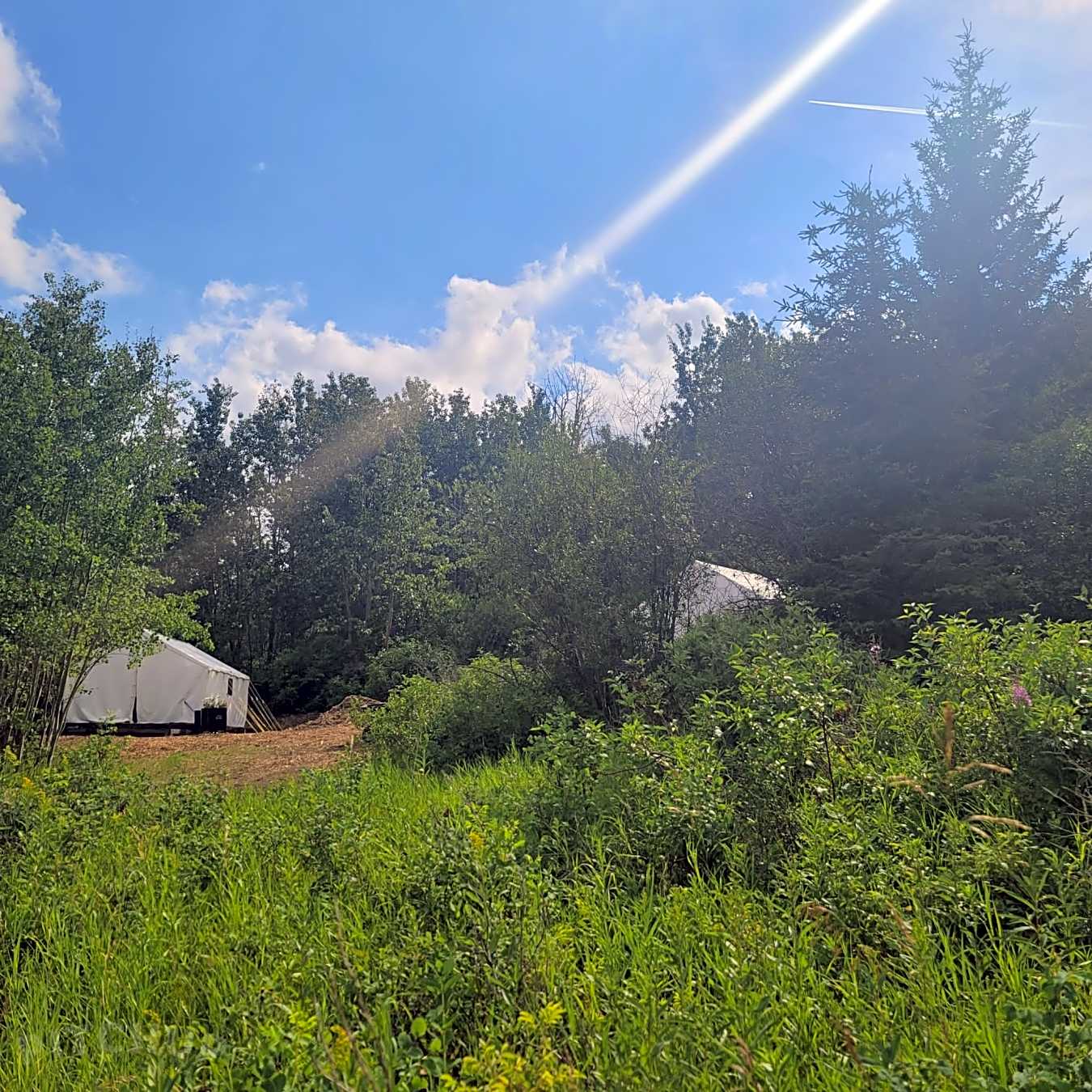 Edmonton, Alberta, Canada 2023 campings à partir de 97,00 €/nuit