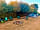 Belvedere Alpaca Ranch