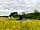 South Town Farm: Peaceful, and beautiful uninterrupted views