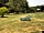 French Fields Luxury Glamping