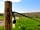 Fox’s Furrow