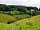 Brown Moor Farm: View of our farmhouse from the opposite side of our dale. (photo added by manager on 28/07/2021)