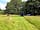Kingsettle Camping Retreat: Pitches mown into the long grass