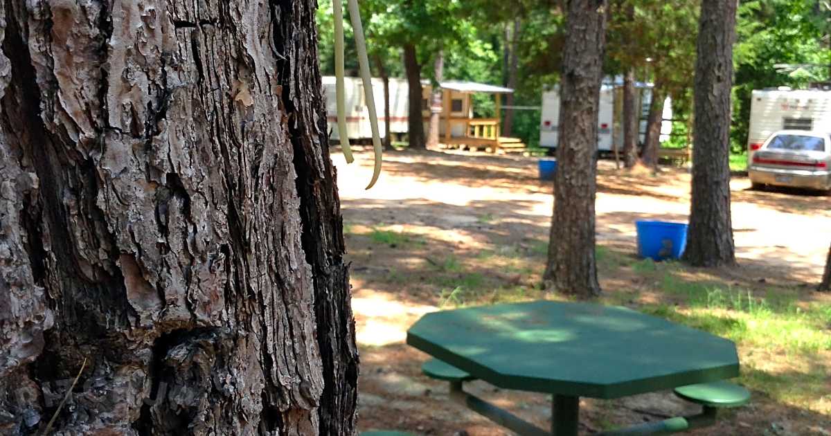 Shady Pines RV Park and Campground, Jacksonville