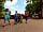 Sandy Balls Holiday Village: Alpaca walks