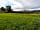 Mowbray Meadow: Tent pitches (photo added by manager on 11/01/2022)