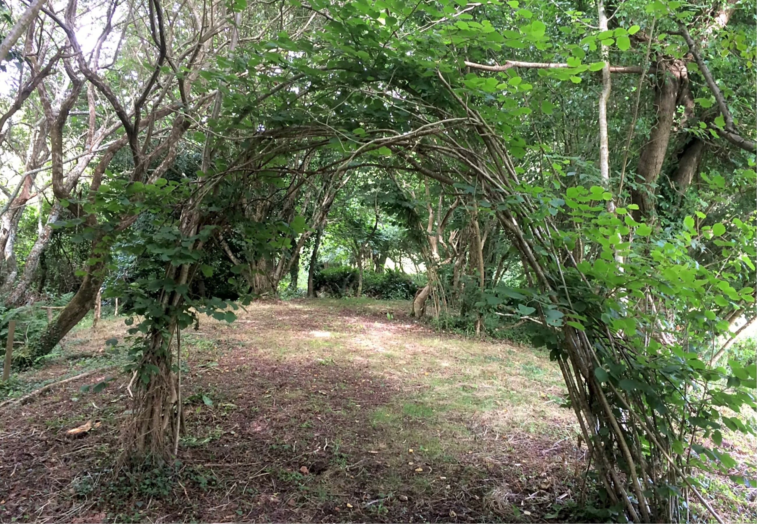 Wilton Farm, Kingsbridge Updated 2020 prices Pitchup®