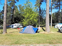 Pitched up among trees Pitched up among trees