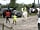 Long Mountain Centre: Horse and pony riding on site (photo added by manager on 10/05/2018)