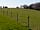 Stud Farm: Spacious, quiet grass pitches (photo added by manager on 22/07/2017)