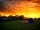 Wardley Hill Campsite: If you are lucky, the sky may well just catch fire