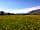 Gill Head Farm: Enjoy terrific views over the Northern Fells