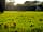 Broadhembury Caravan and Camping Park: The site in autumn