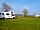 Springfields Countryside Caravan and Camping: Greenery